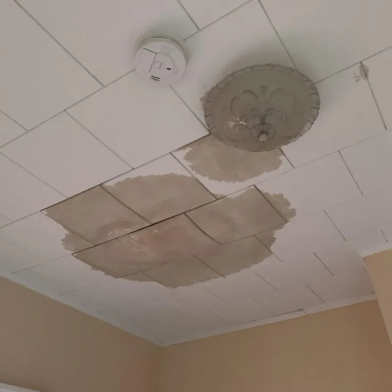 Ceiling Water Damage Repair in Rossville, GA