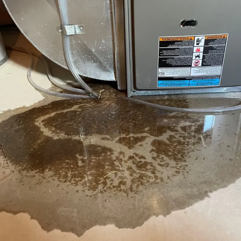 Pipe Burst and Leak Restoration in Rossville, GA