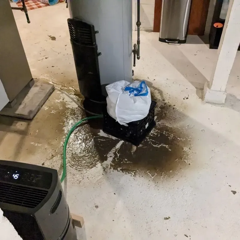 Sewage Backup Cleanup Service in Rossville, GA